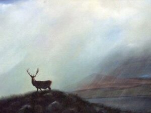 The Lone Stag. Glenveagh_Art_House_Ireland