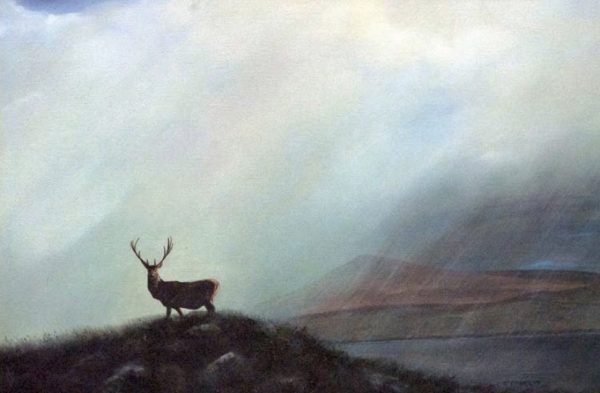 The Lone Stag. Glenveagh_Art_House_Ireland